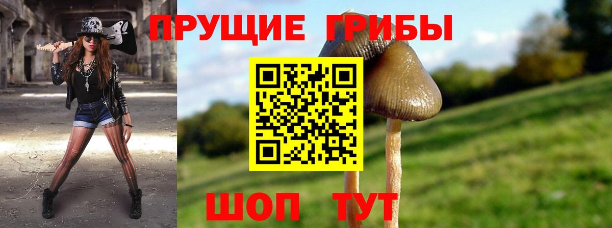 Галлюциногенные грибы мухоморы  Вход с VPN  Псилоцибиновые грибы Psilocybine cubensis  Сыктывкар 